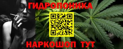 spice Кунгур