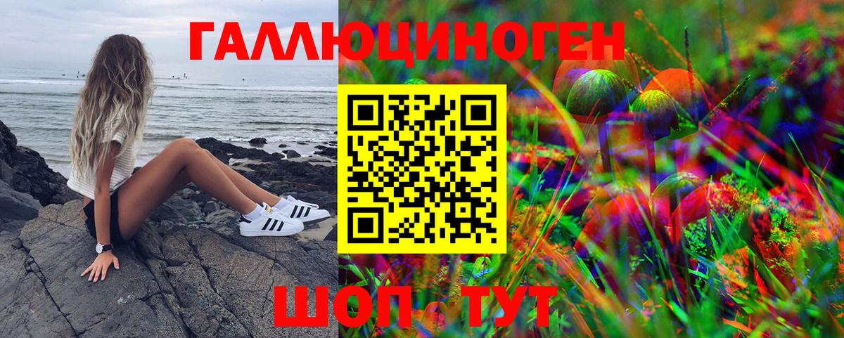 Галлюциногенные грибы GOLDEN TEACHER Касимов